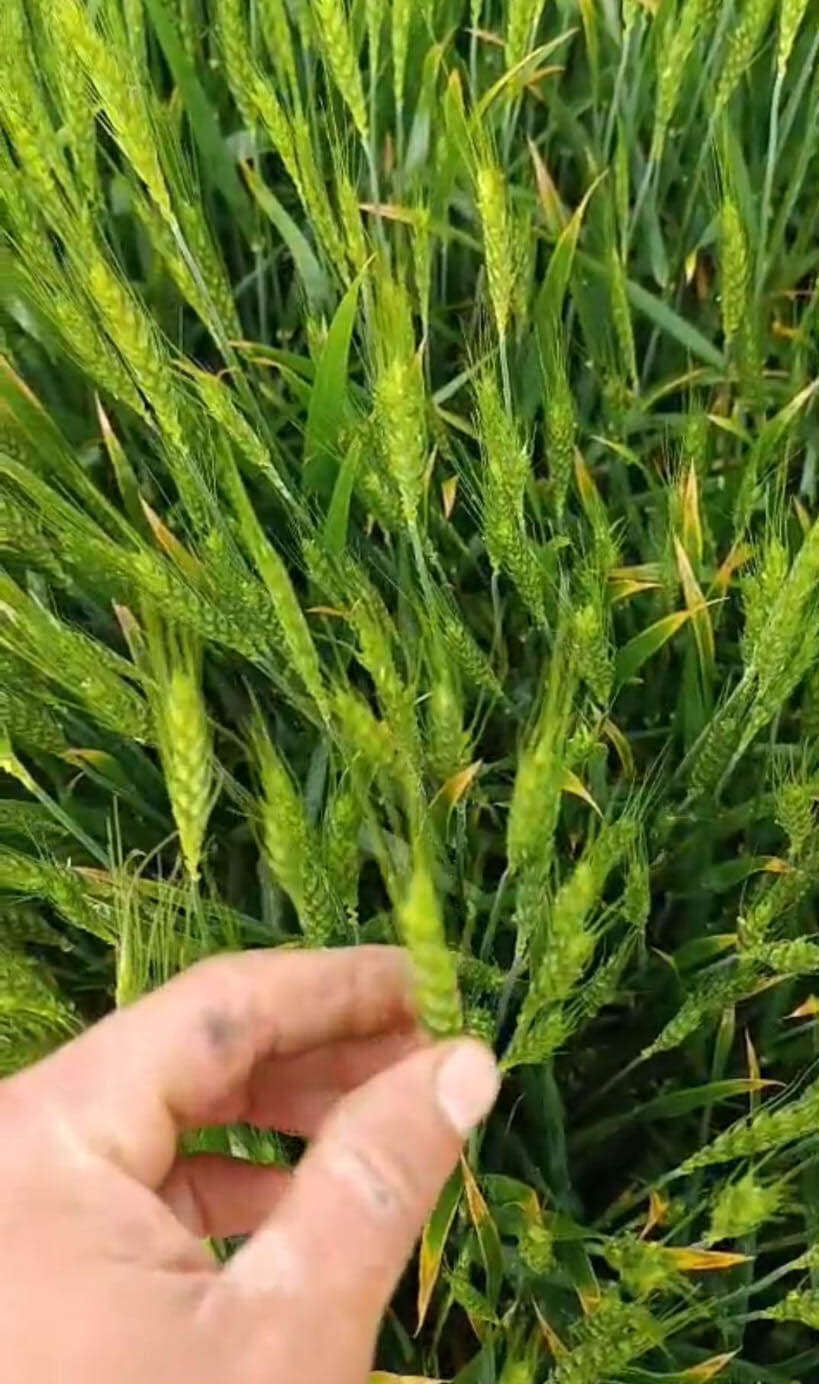 Konya’da kırmızı alarm! Sağanak yağışın vurduğu mahallede son durum 7